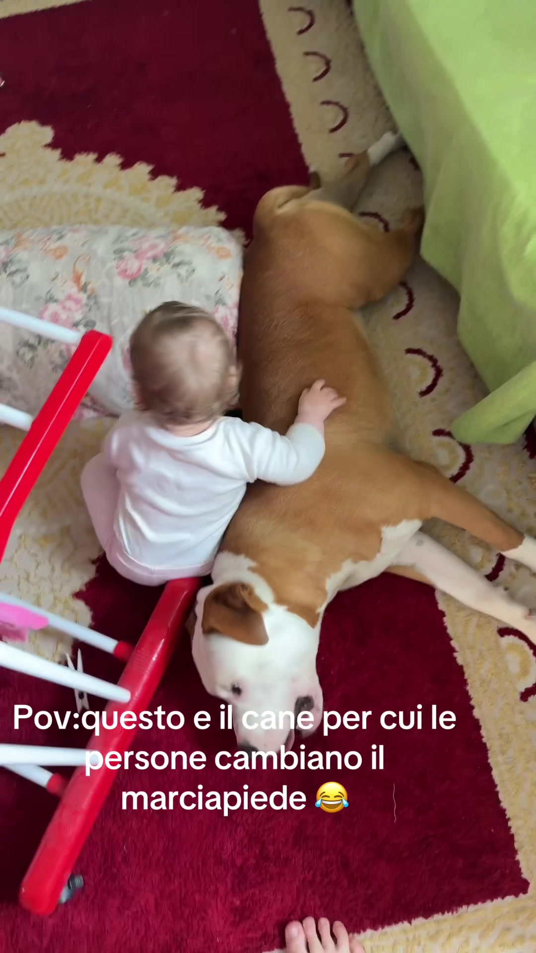 @Beatrice_._maria
