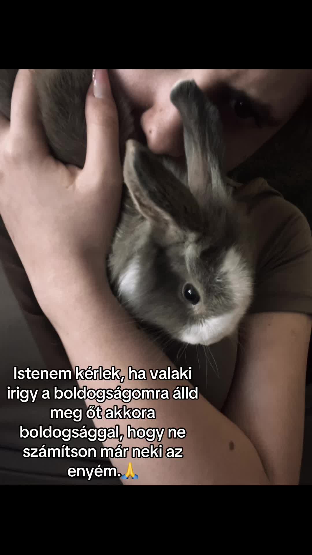 @csengecsirik🌸💗