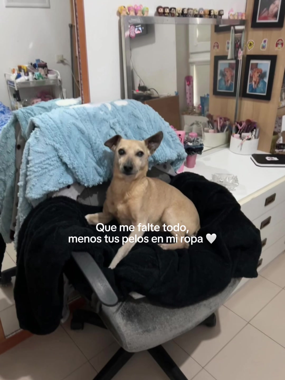 @✨Abbyy✨