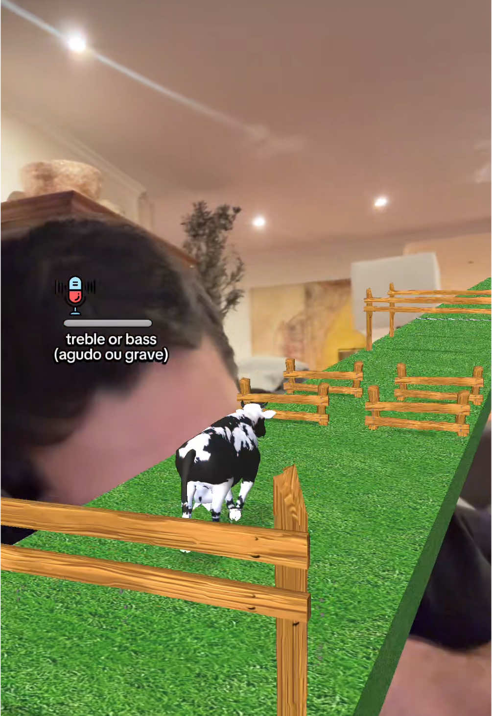 @carminhosg