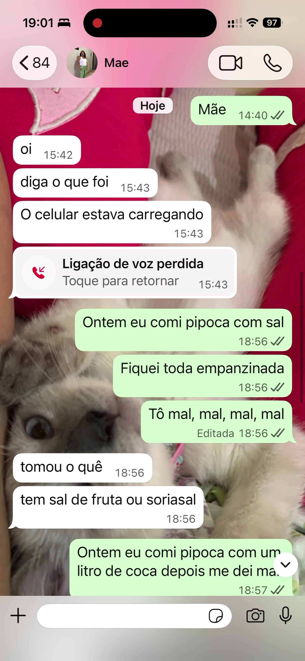 @biaribeiro019