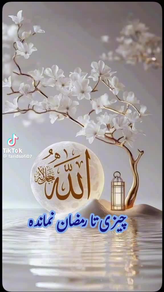 @Setareh