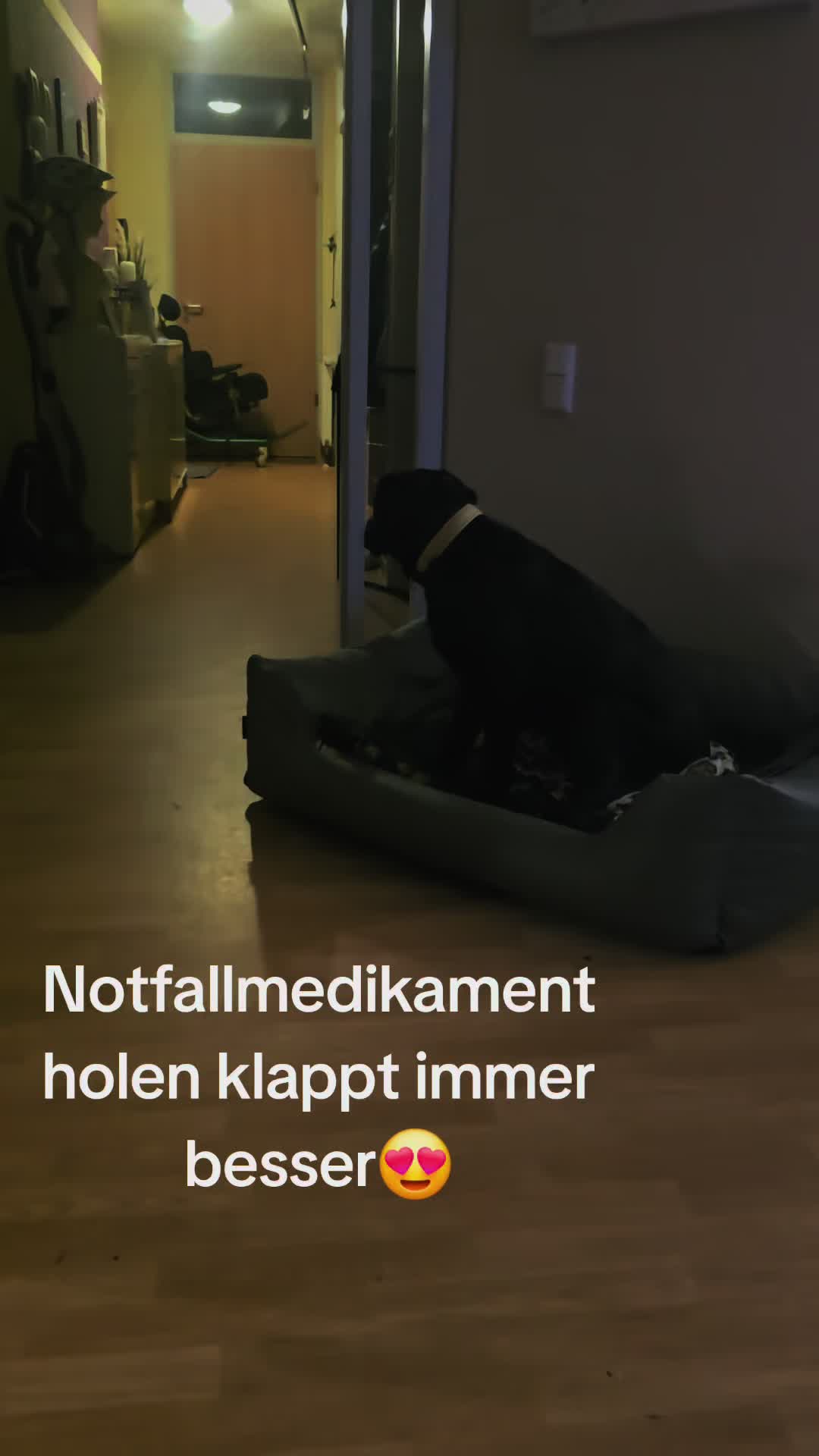 @AntonderBollerkopp
