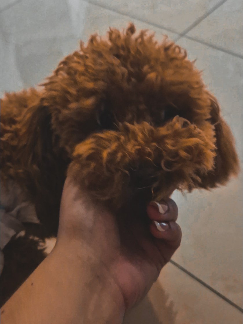 @โโฝ๐โต๐.๐.โต๐โพโ