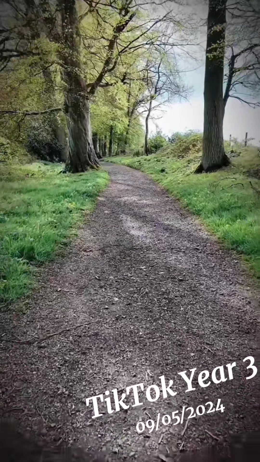 @Jotografs