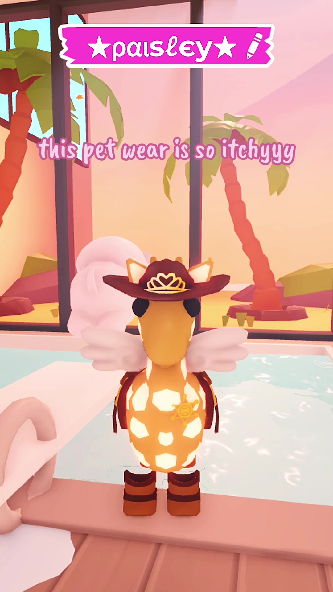 @⋆｡˚꒰ঌ໒꒱˚｡⋆