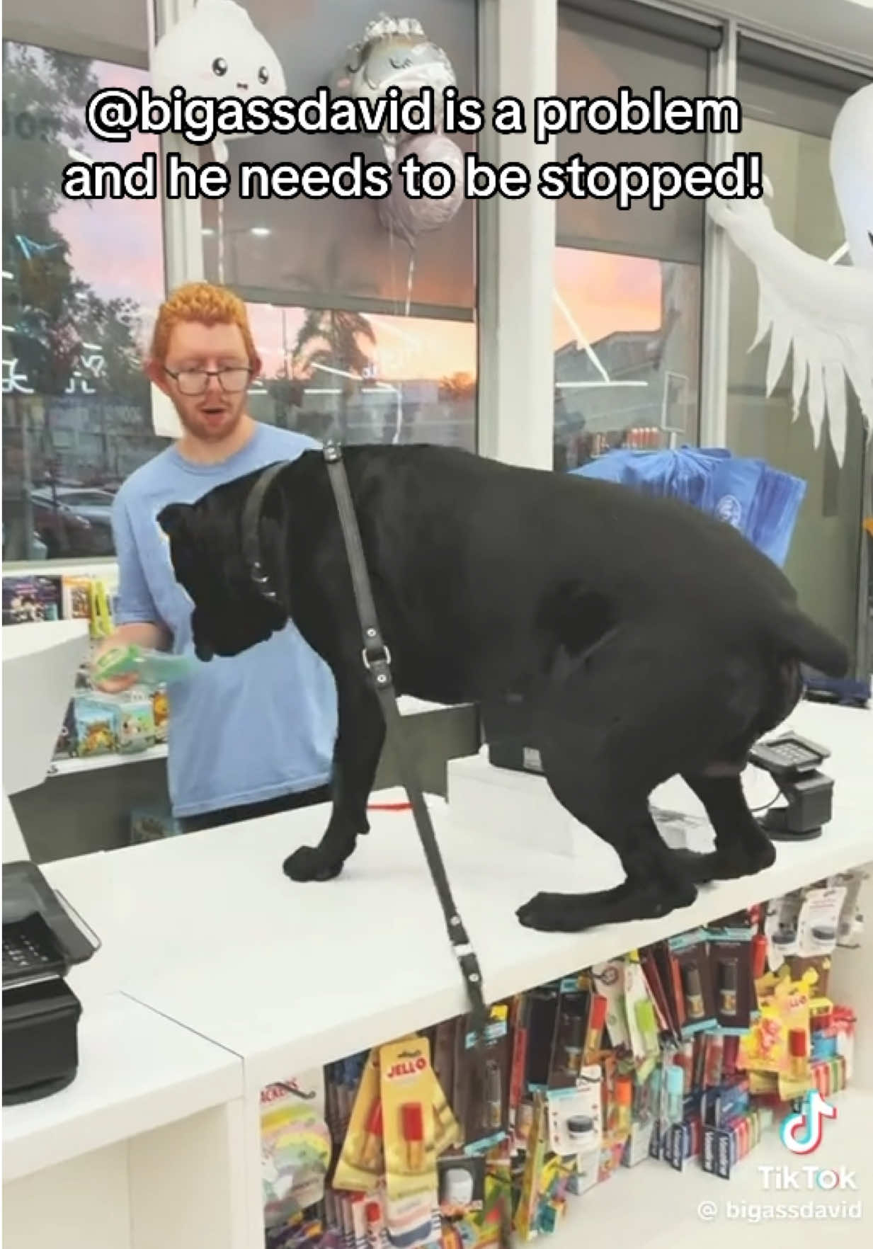 @Dogs aren&rsquo;t Family