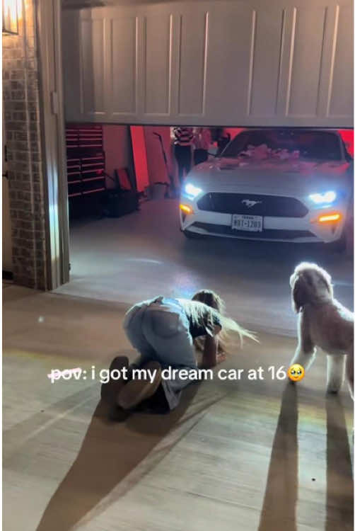 @mimo.pet.f191