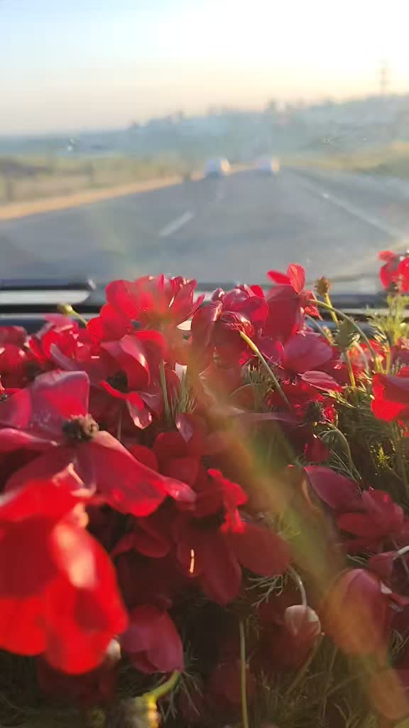 @🥀🥀🥀🥀🥀