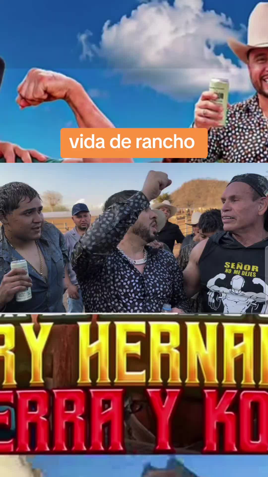 @Chismecito Suculento VIP