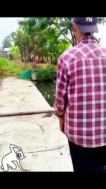 @Bossa25086666