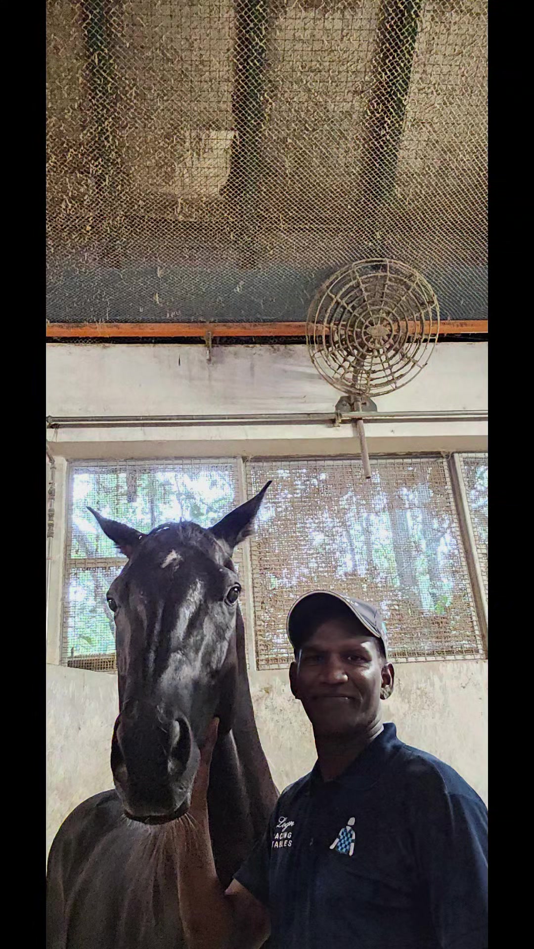 @kevin 🏆🏇🏇🏇🏆 🇸🇬🇲🇾🇳🇿