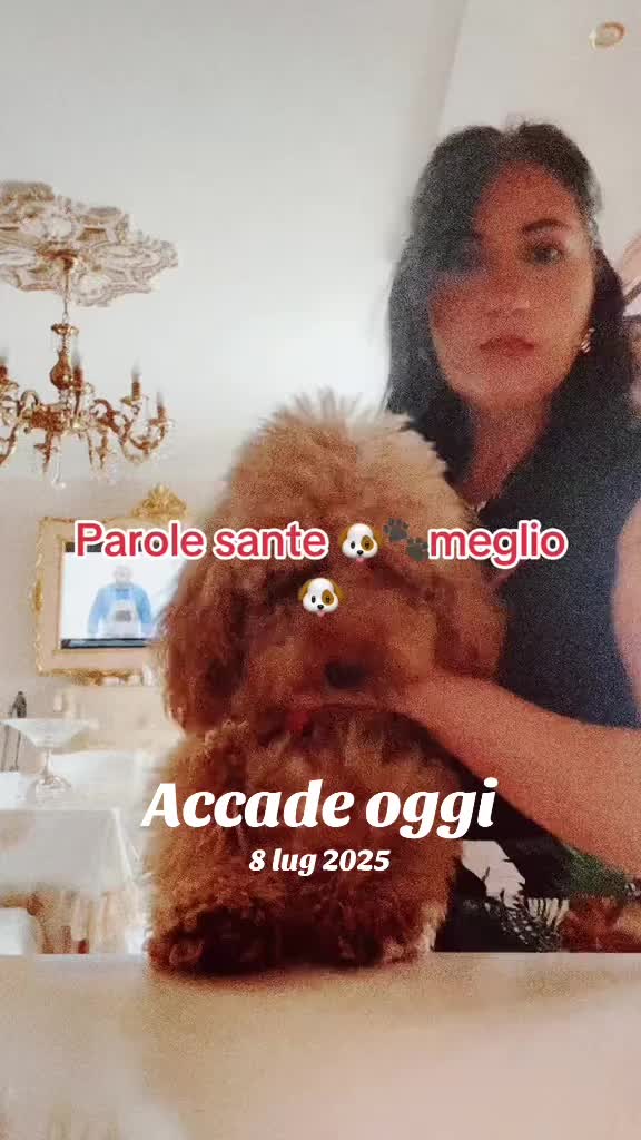 @Mina D’alessandro