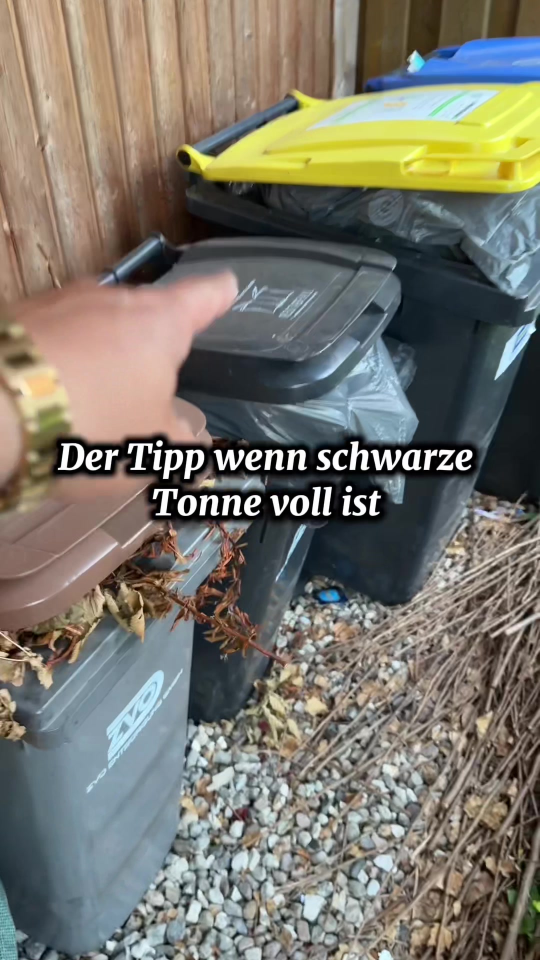 @dertippgeber_official