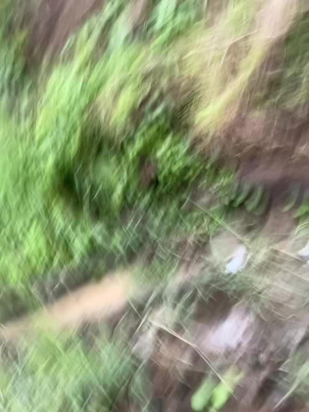@ztrifth