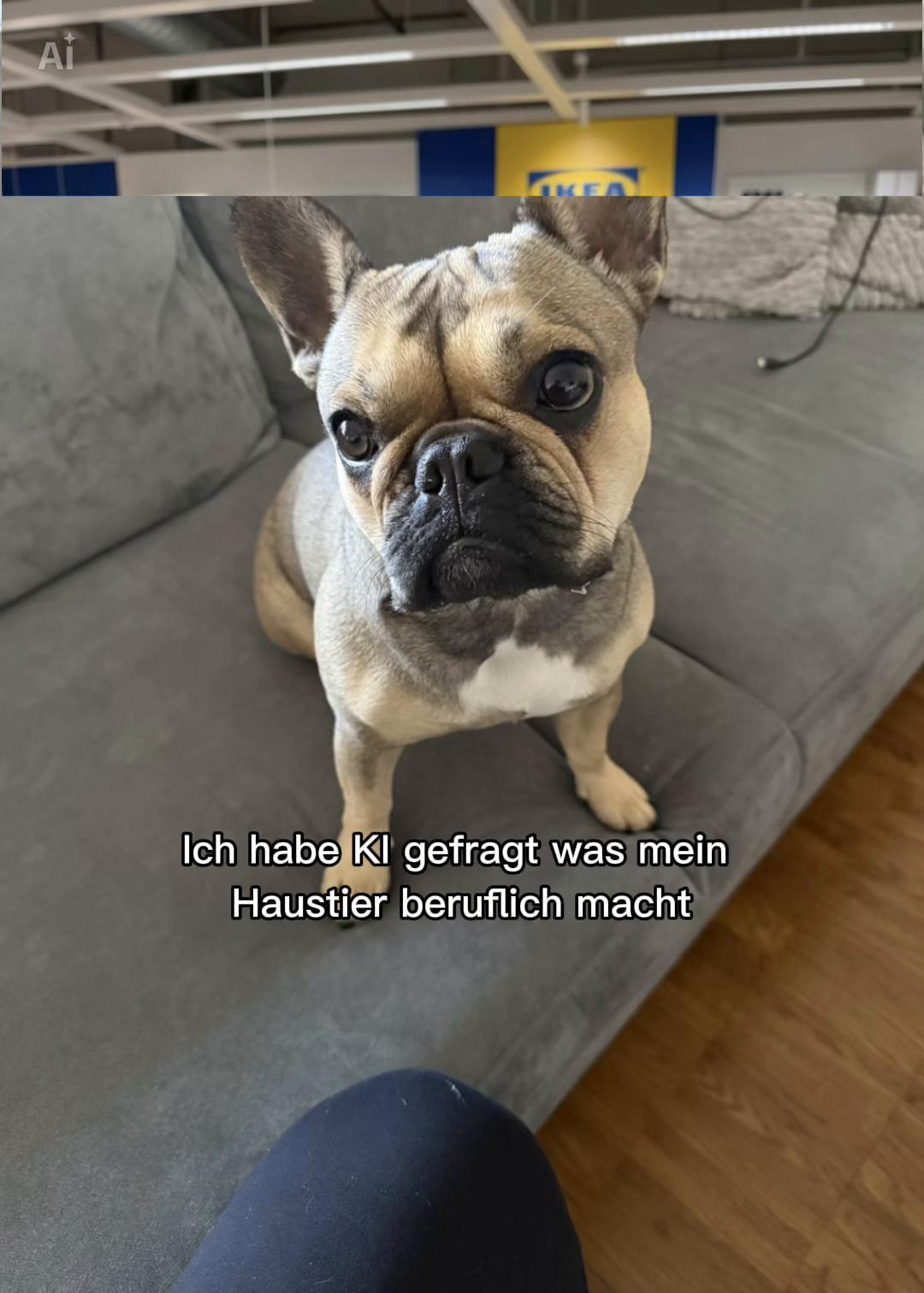 @liebemal3🤍
