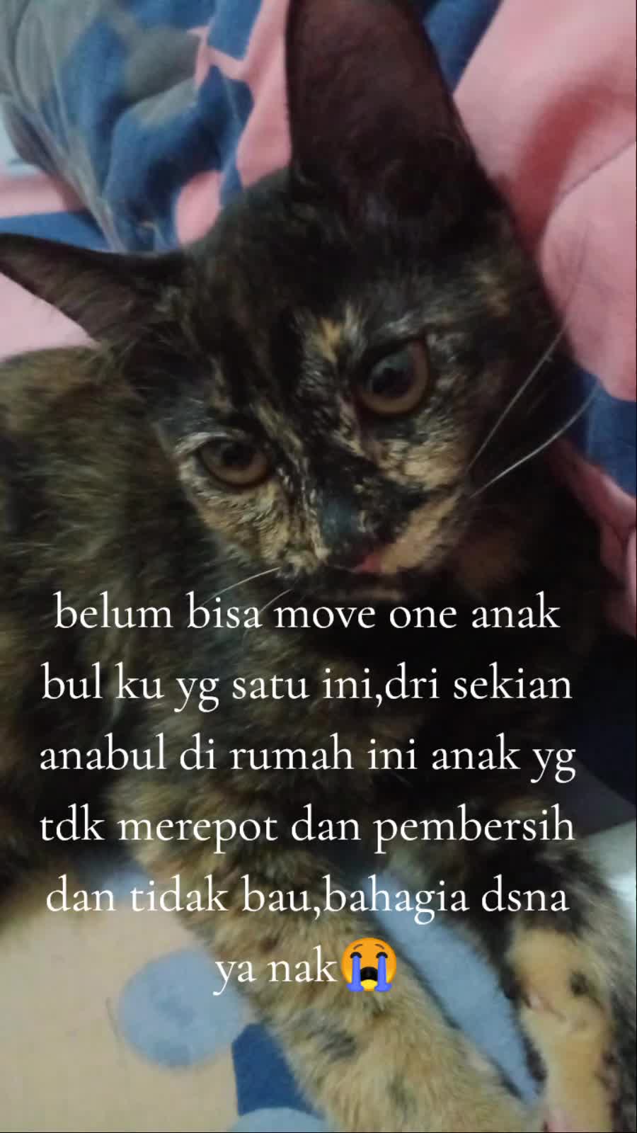 @yoana