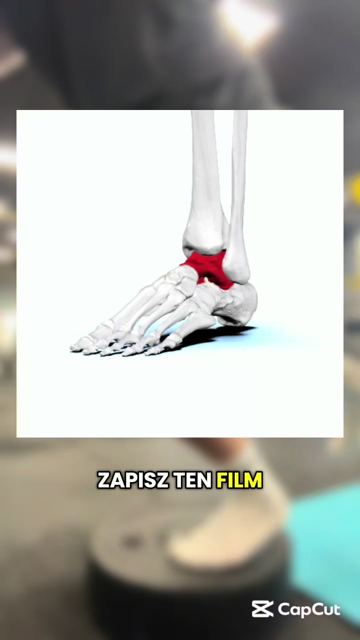 @matilipp