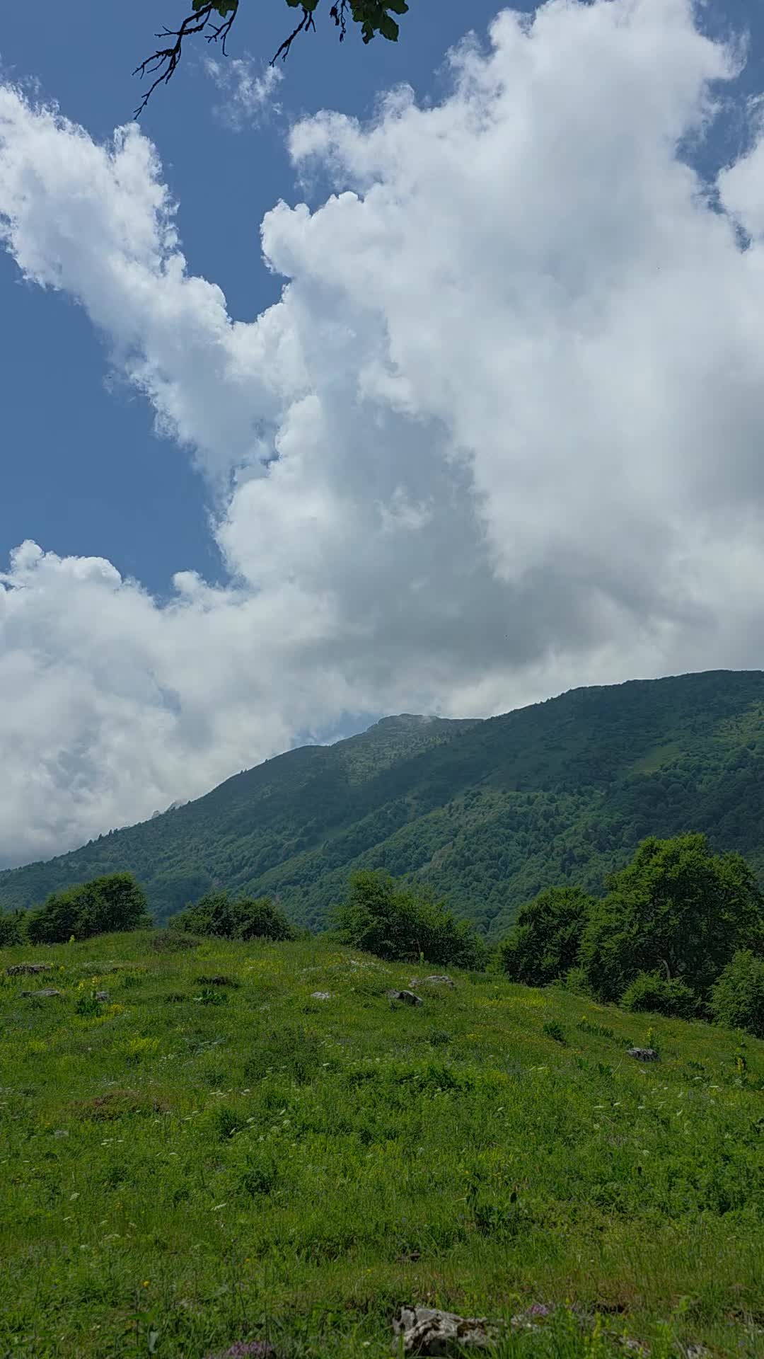 @Ertan akin