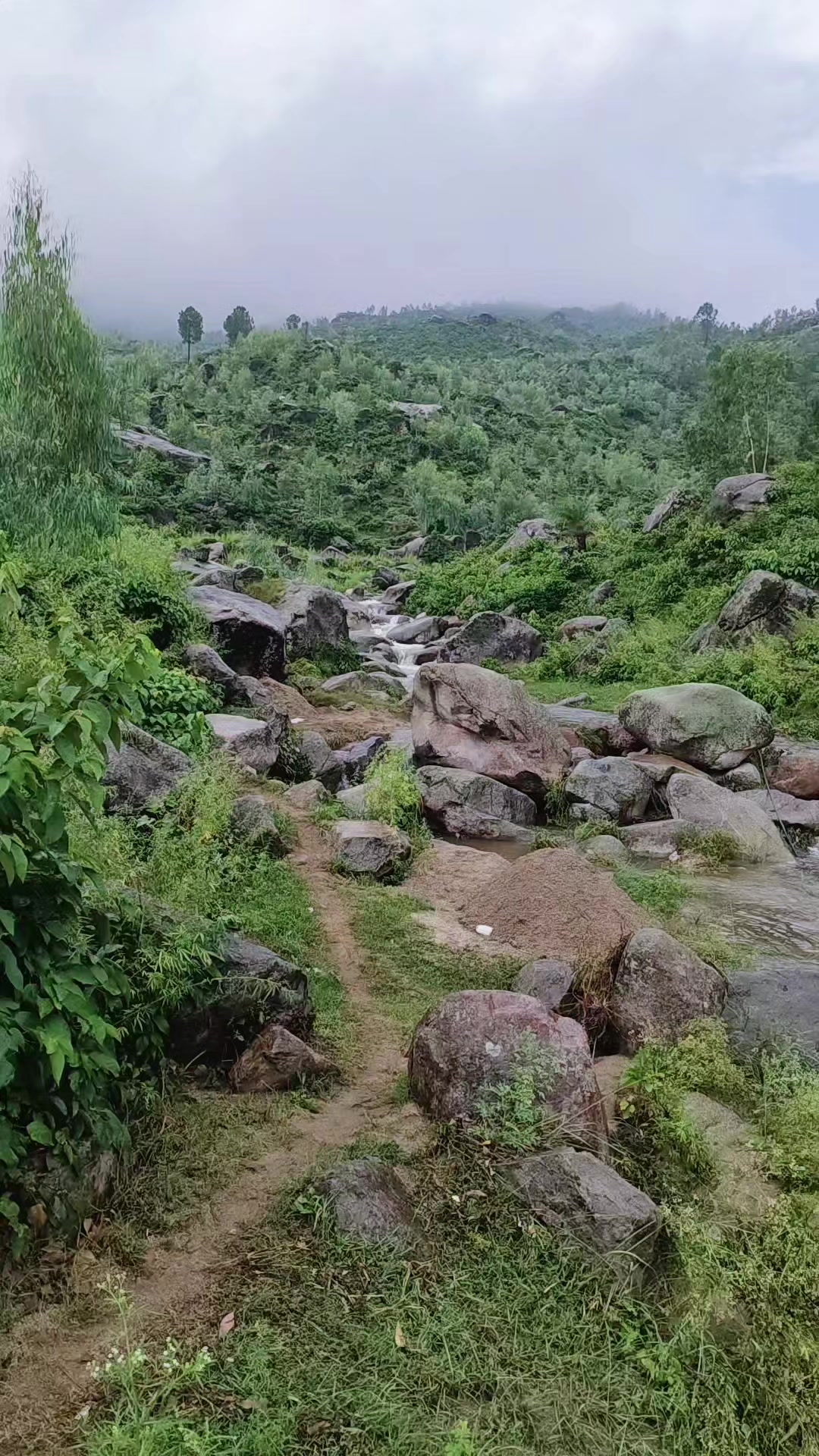 @سيد على