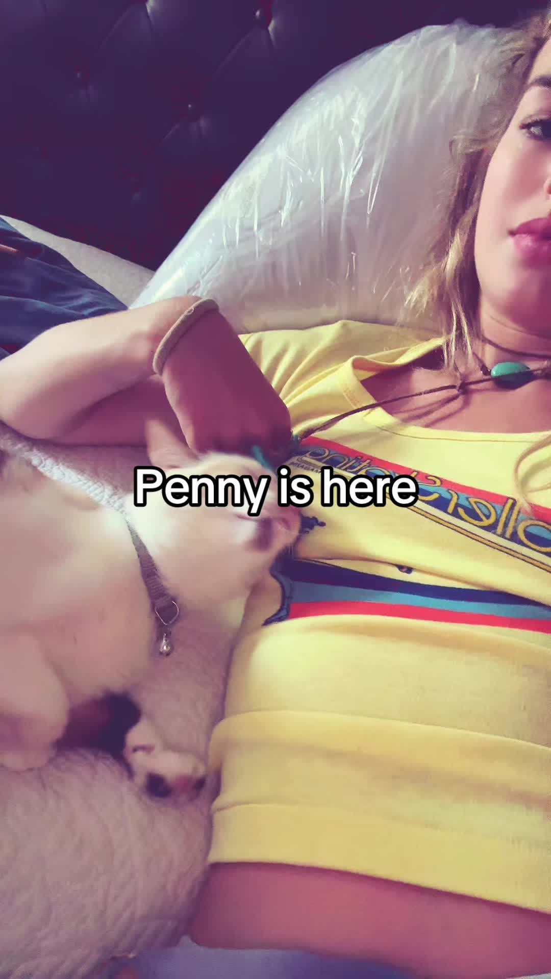 @rollergirlvtgg