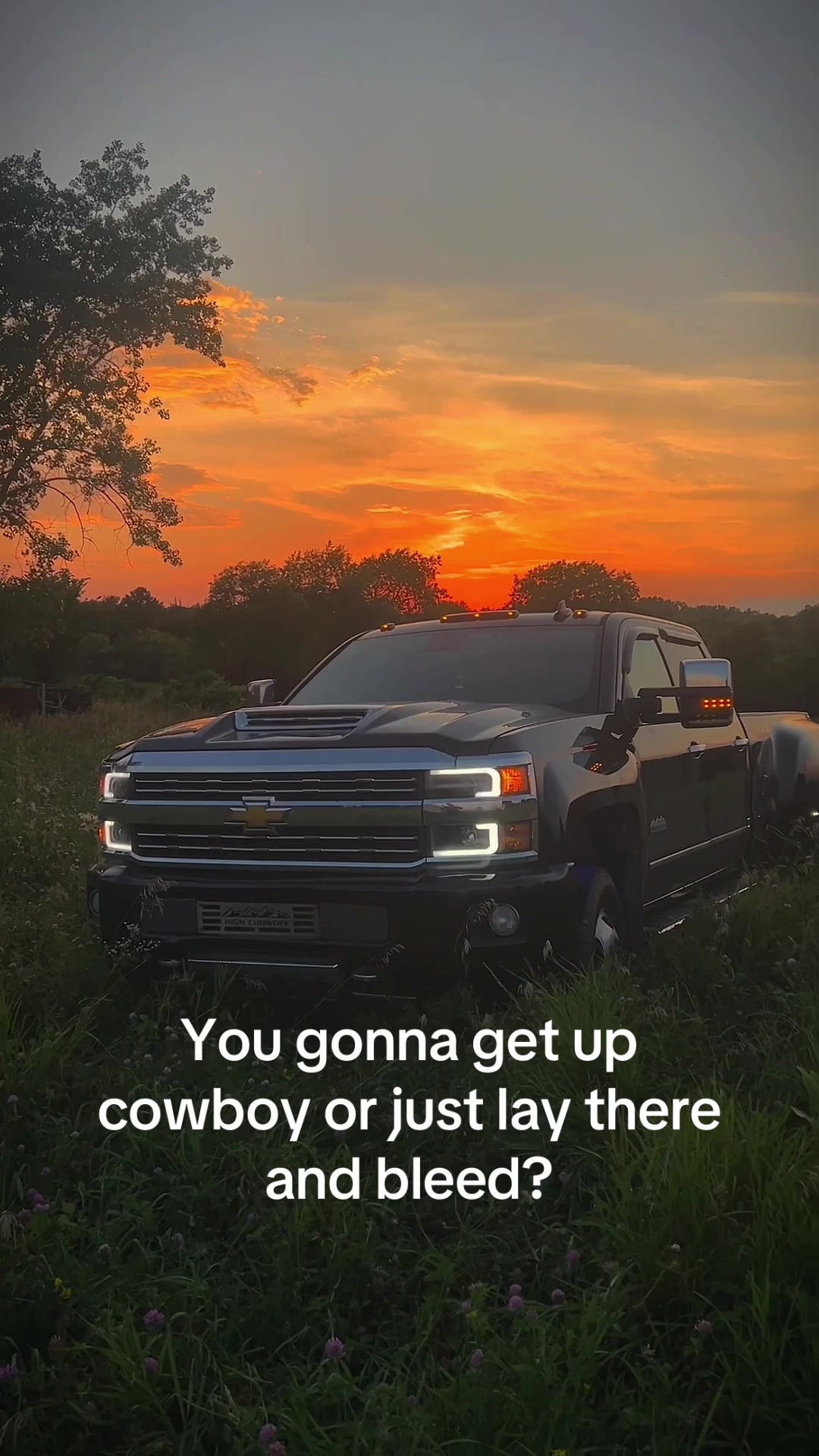 @That_black_6.5