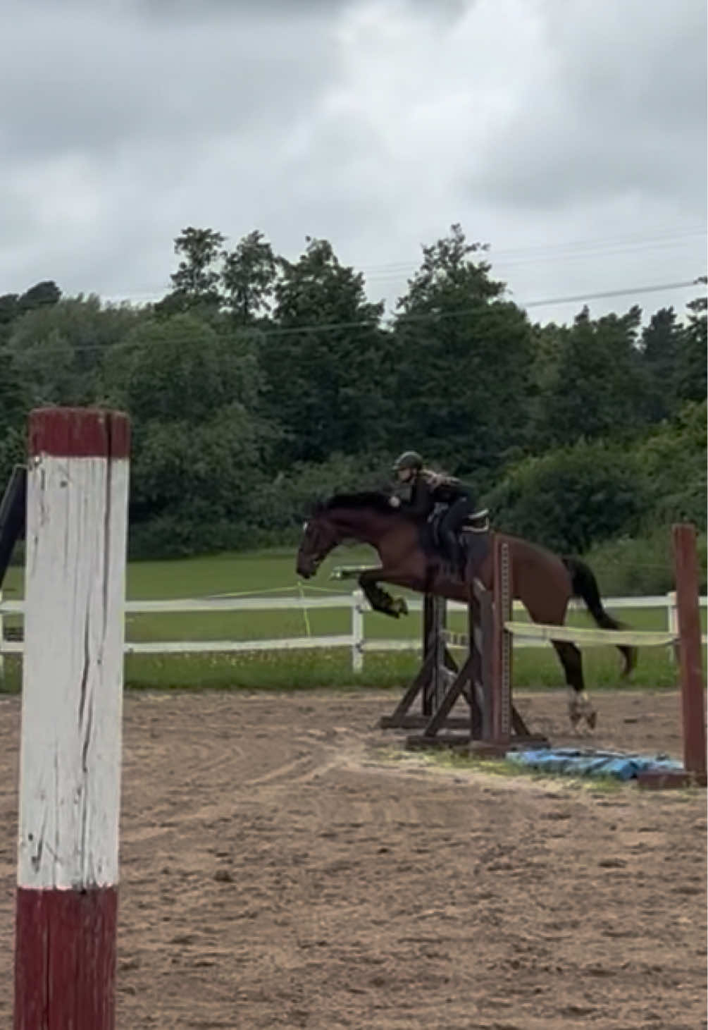 @💋🐴