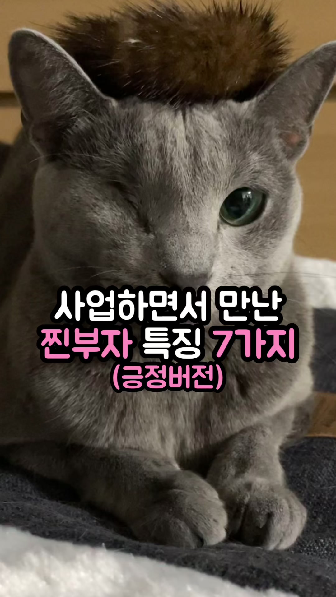 @자유 레코드