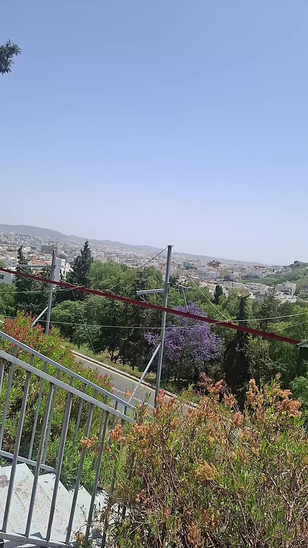 @ᥫ᭡𝓂