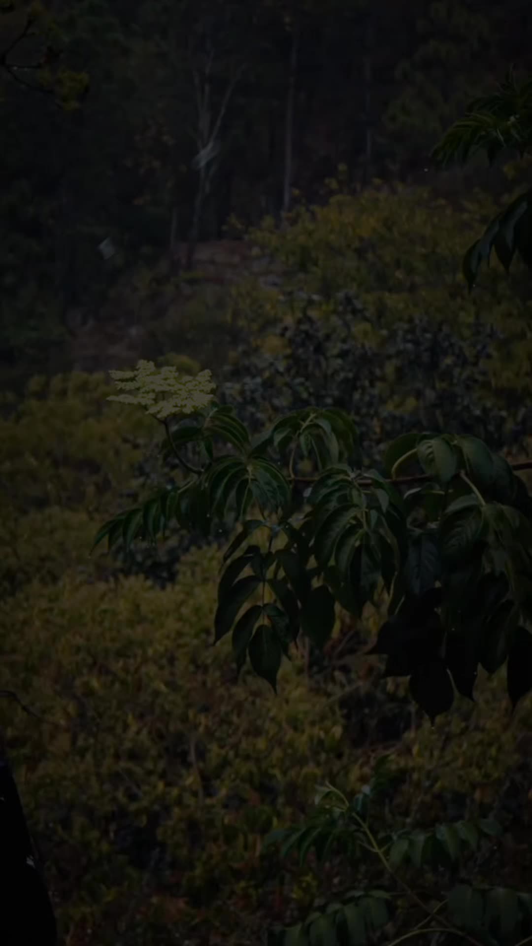 @ever502.1