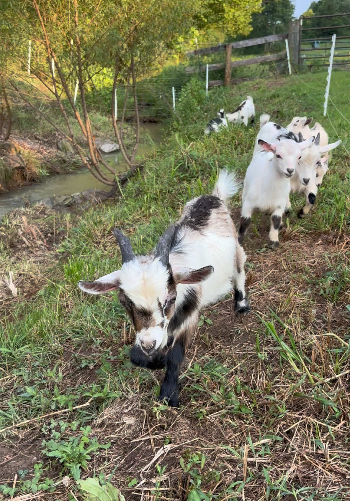 @Densmore Ranch
