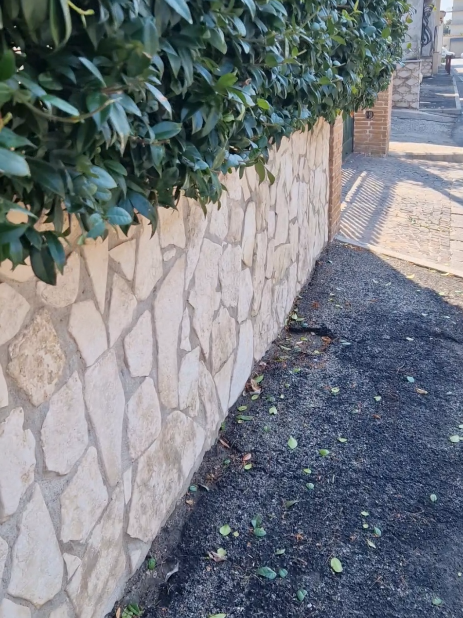 @Maddalena Della Martora