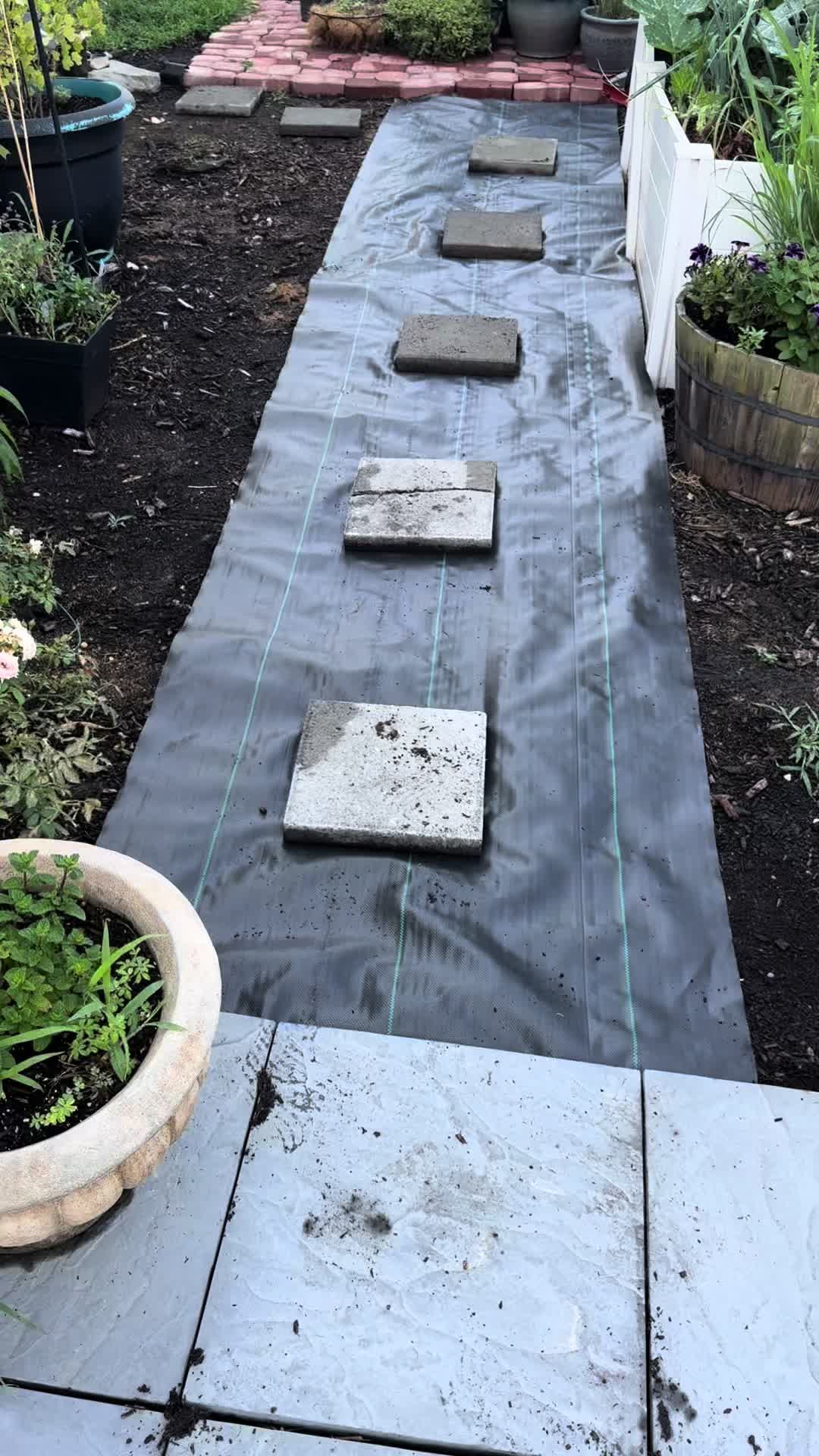 @The Bitchy Gardener - Jess 🍉