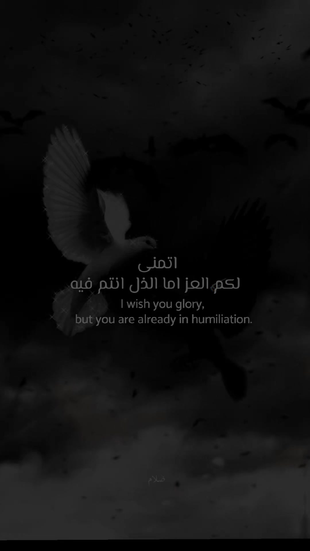 @▅ ▆ ▇ █ ظلام █ ▇ ▆ ▅