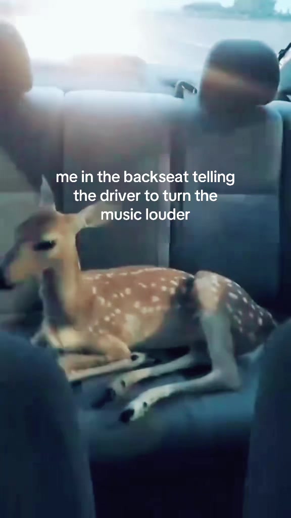 @ijustpoppedabean