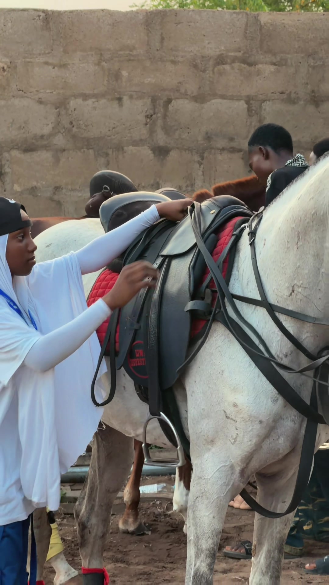 @GIWA🐴EQUESTRIAN🐎♥️WORLDWIDE