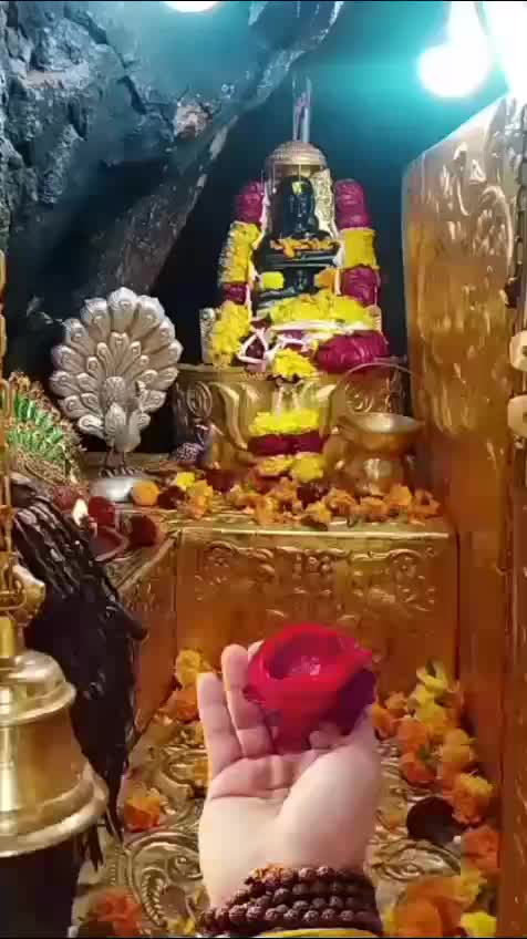 @Avi Mehra 🧿❤️