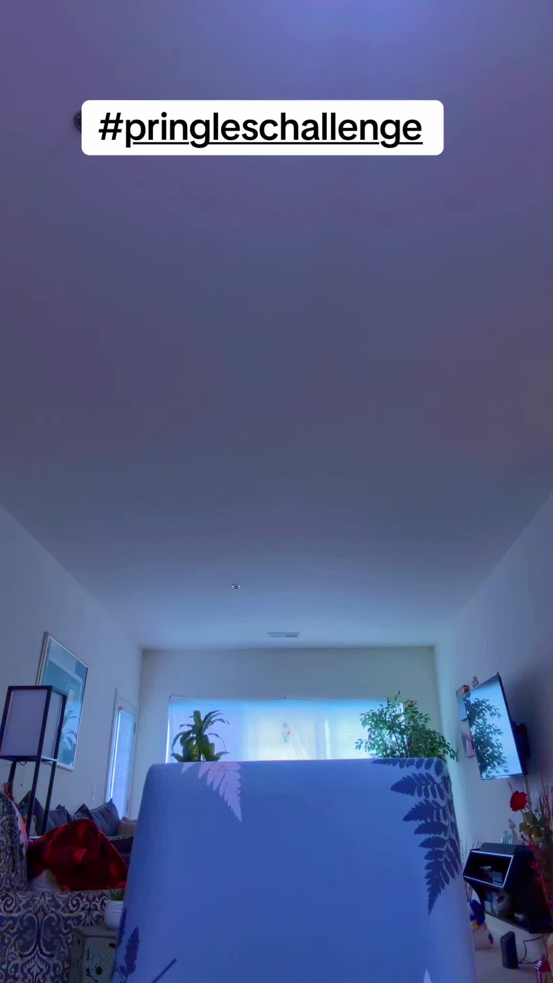@Vivi