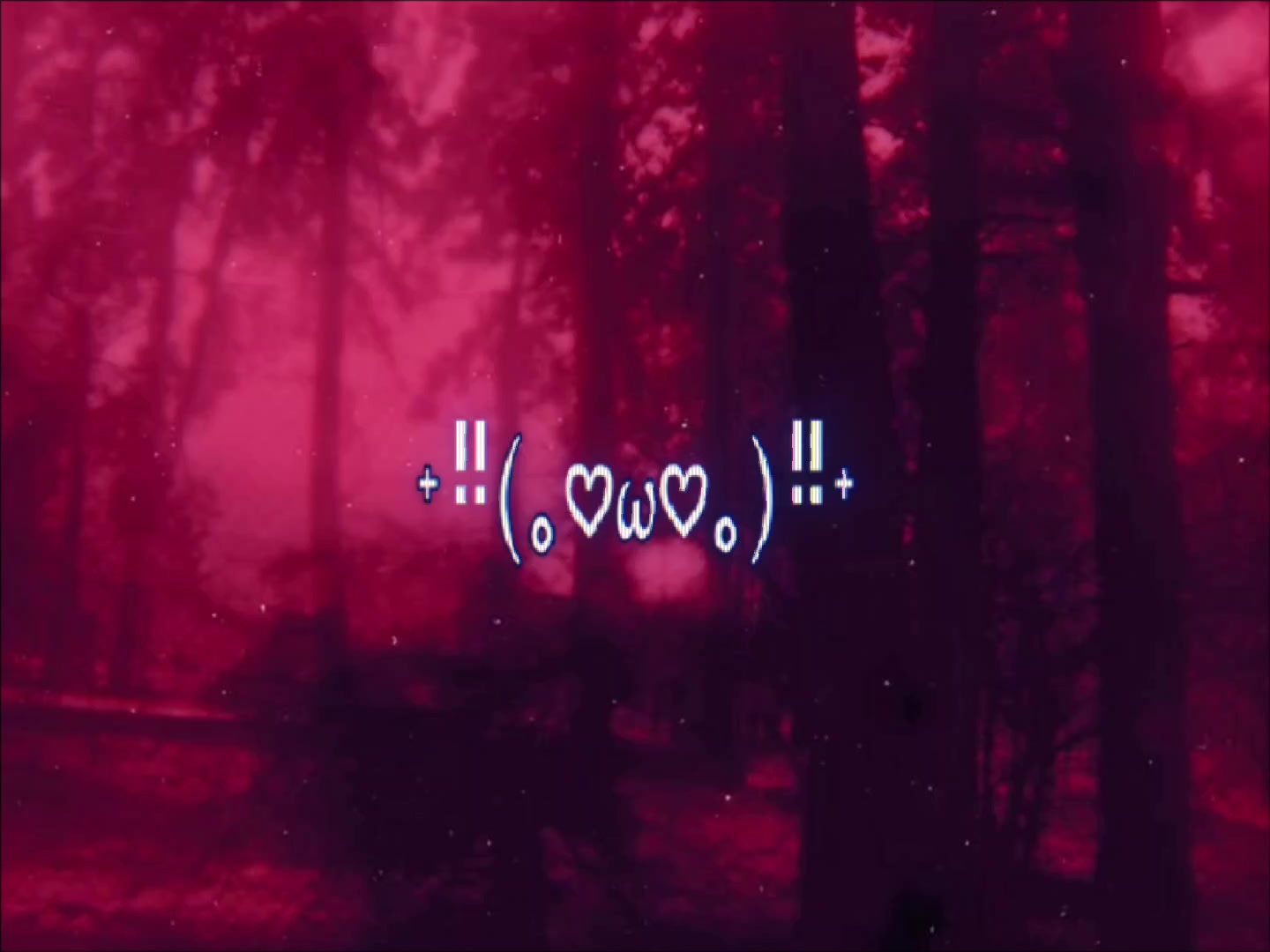@XD