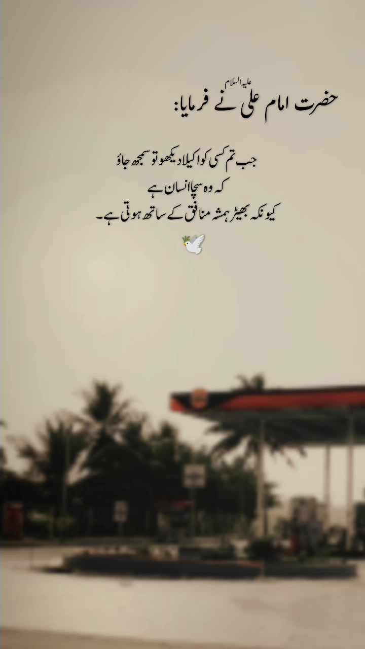 @ℤ𝕒𝕣𝕥𝕒𝕛⃝ 🤍