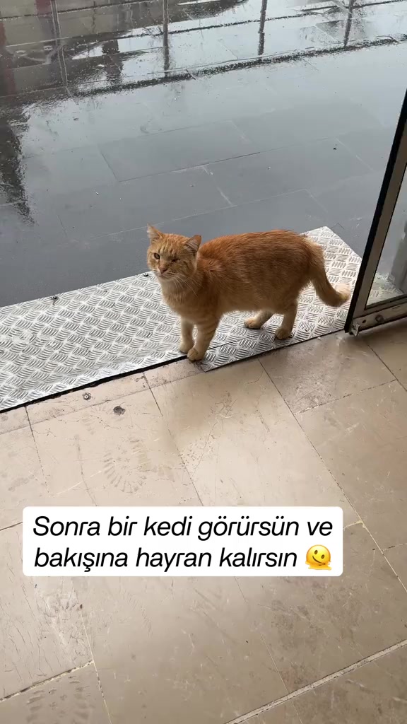 @MUSTAFA38