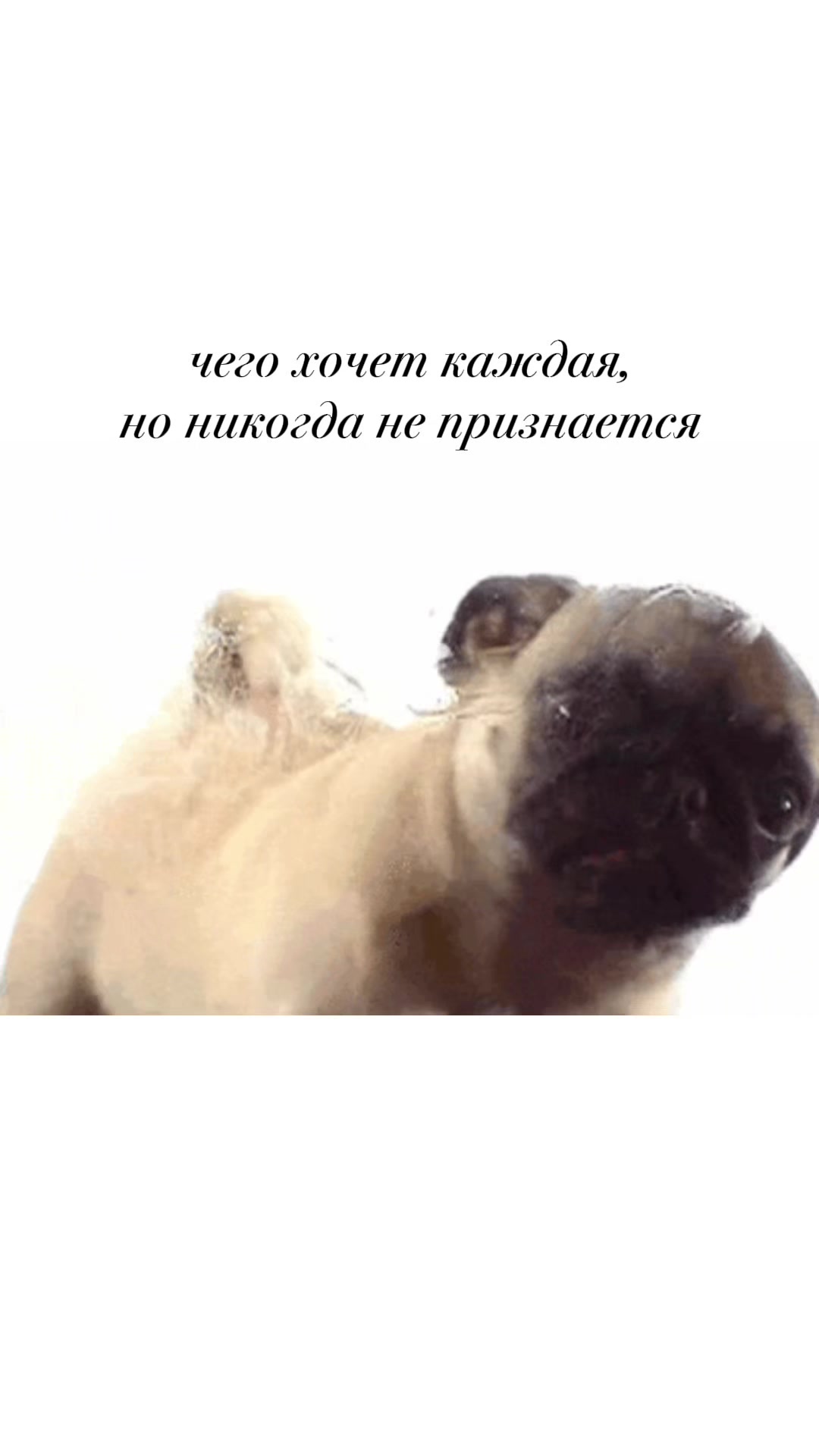 @tupayadev4onka
