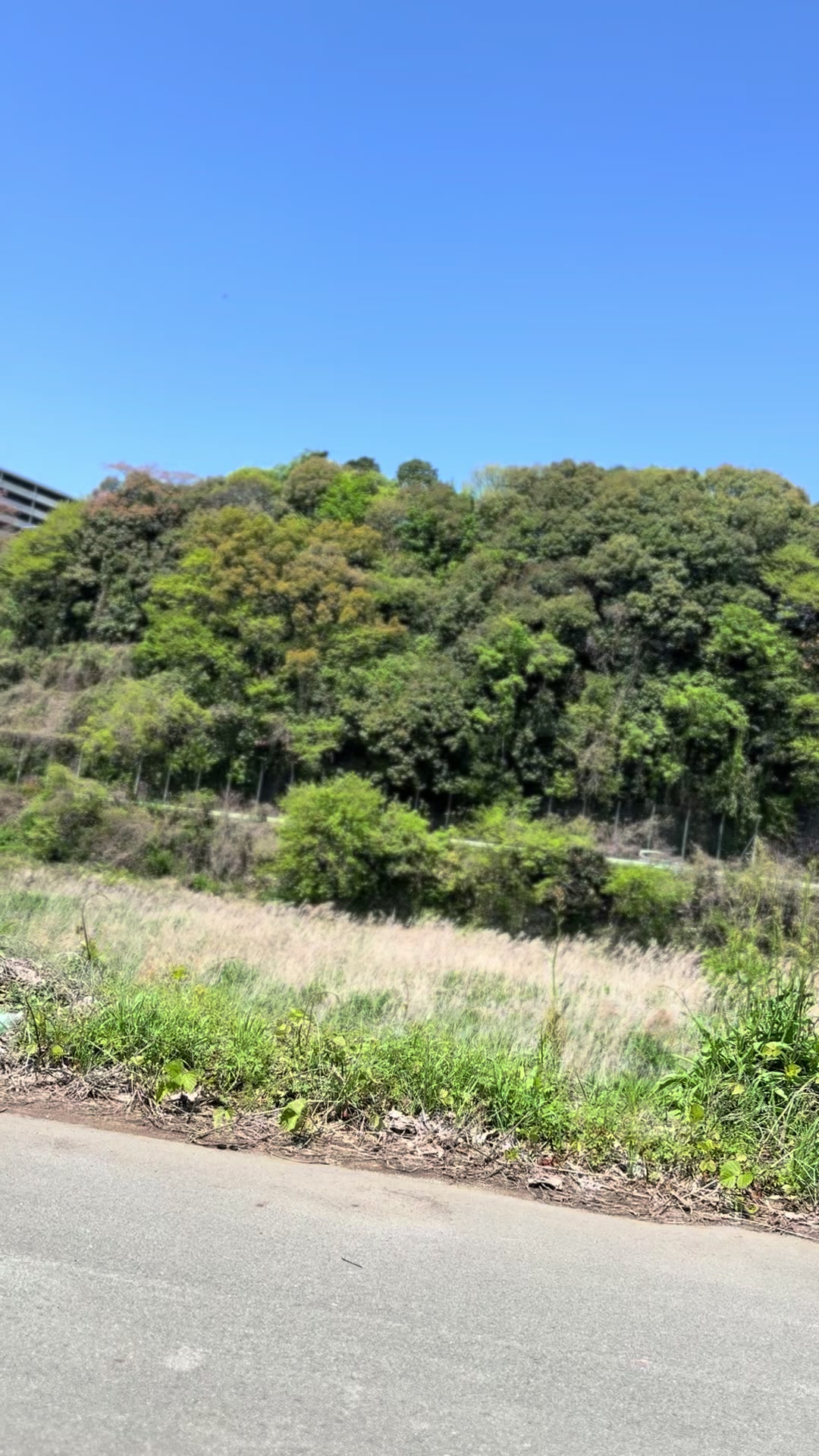 @たいぺけ
