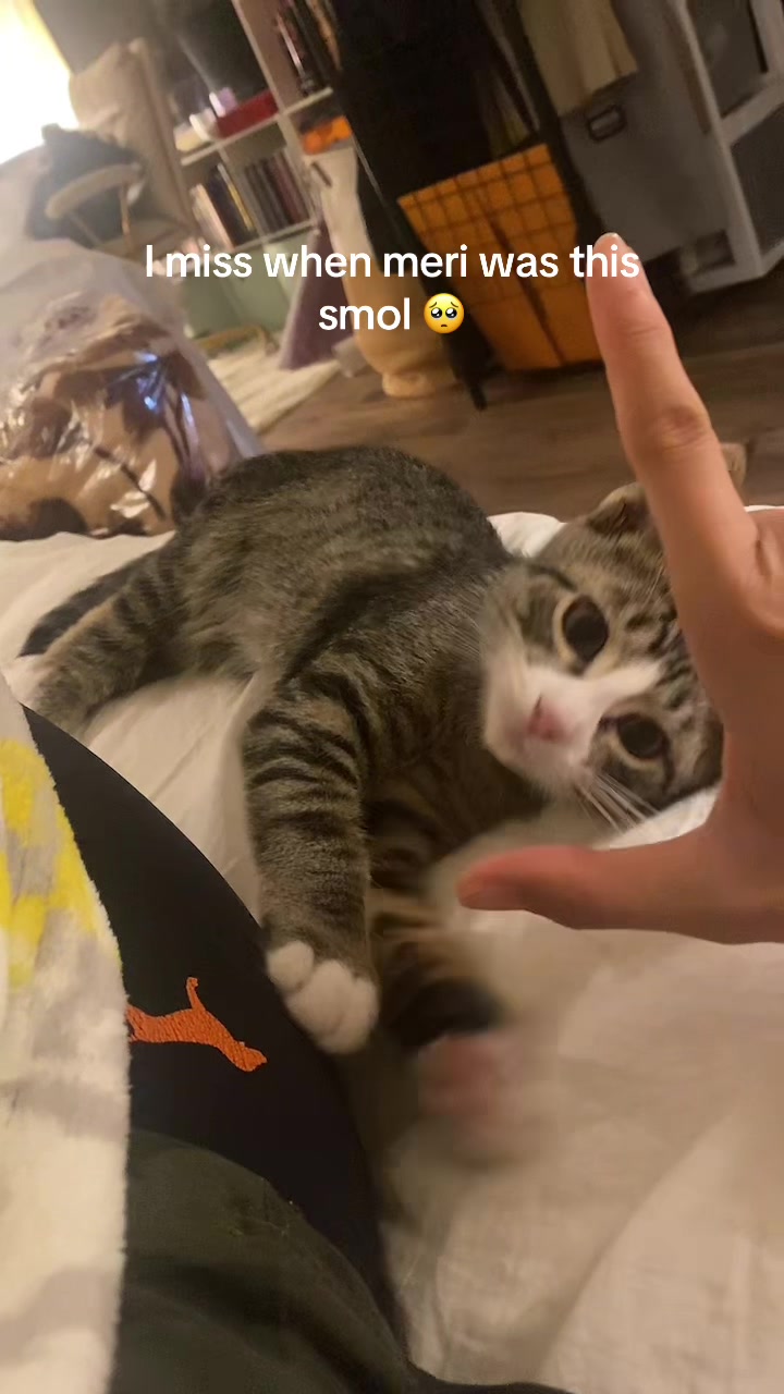 @anna 🧸
