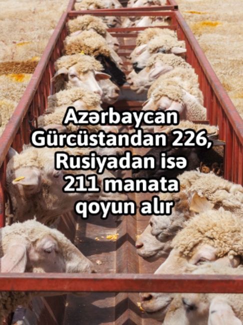 @yeniavaz.com
