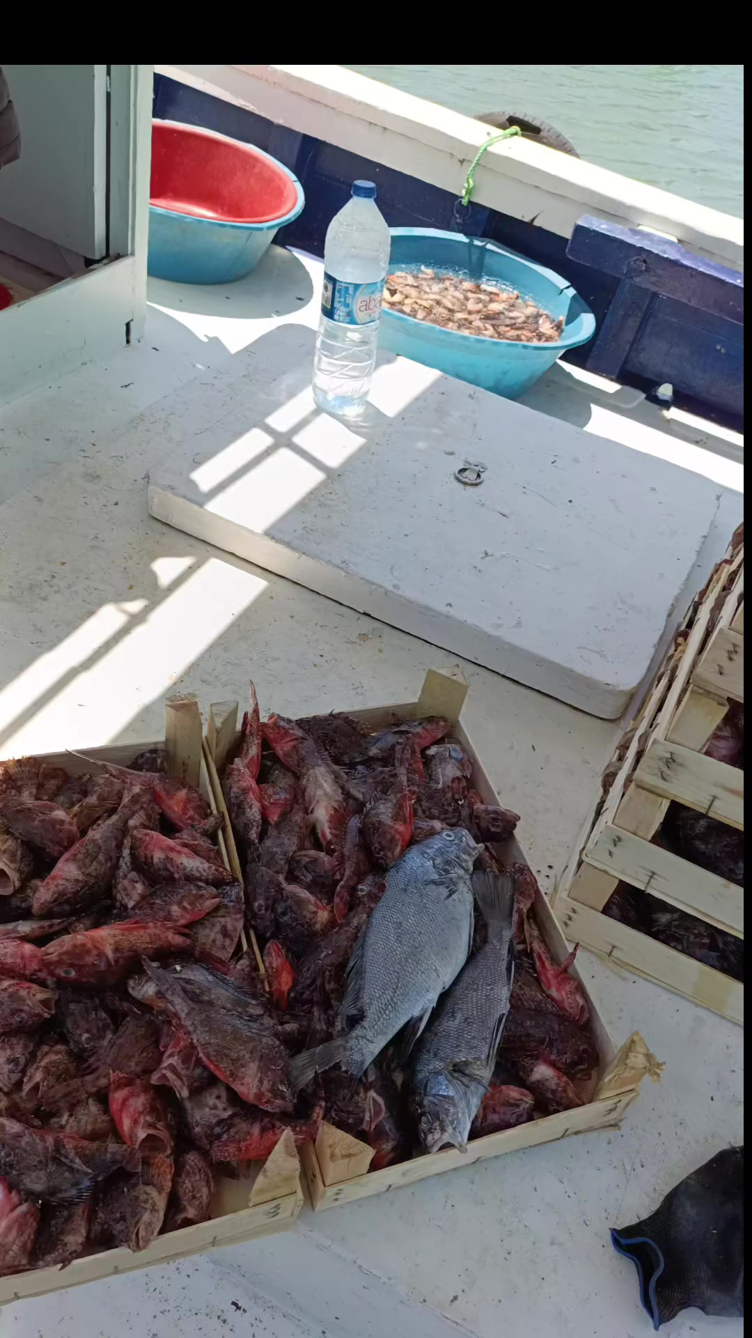 @Vikingler fishing Co.