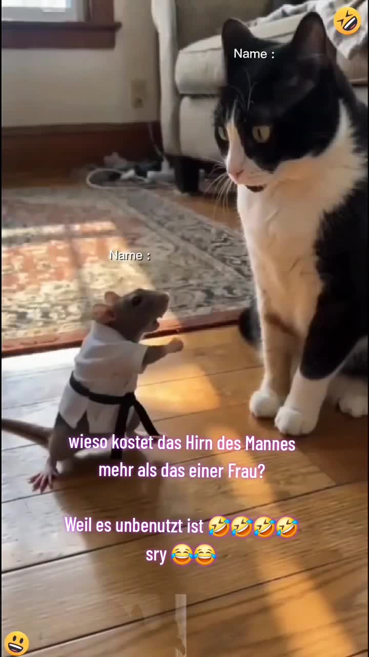 @Sindy80_Amy01