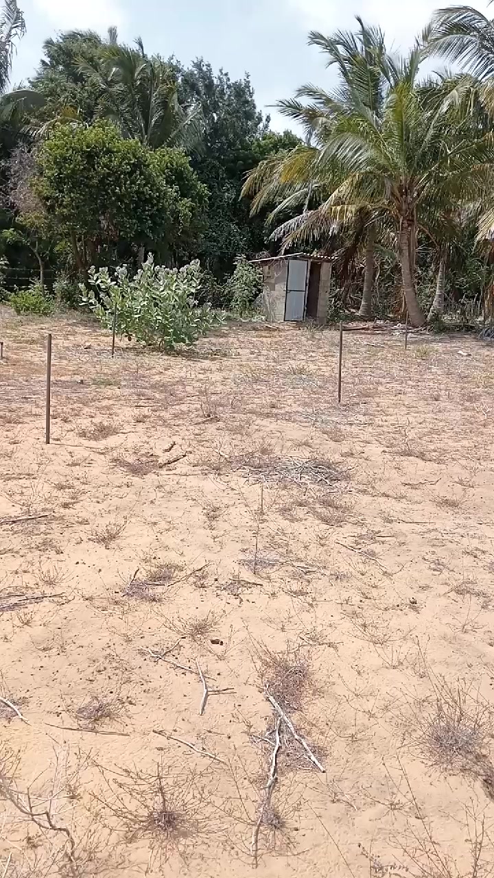@Niyas Niyas