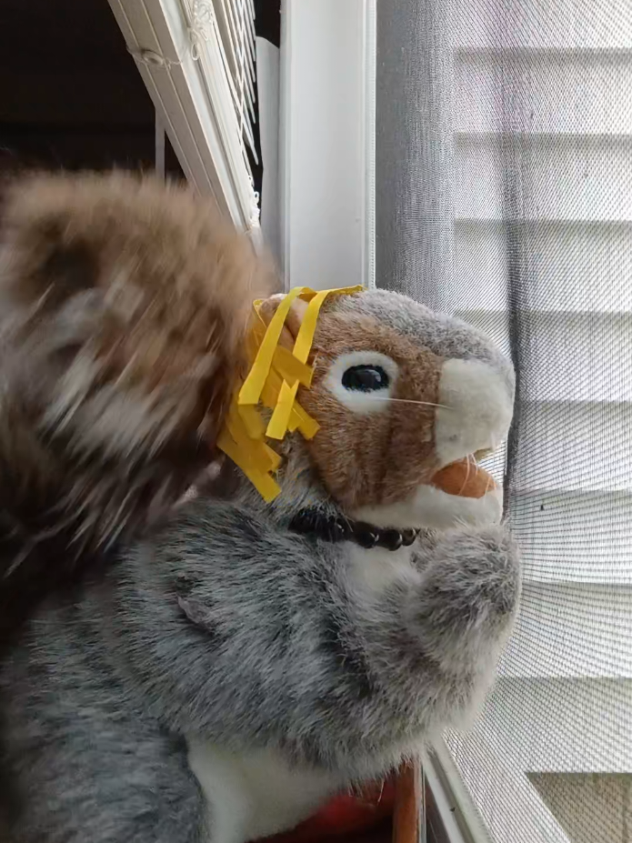 @Charles The Squirrel