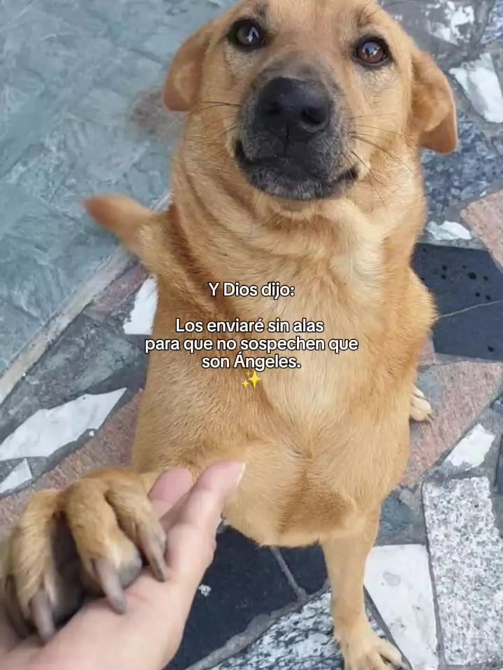 @๐๐๐๐๐๐_๐๐๐๐